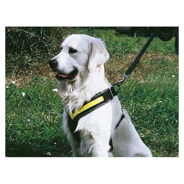 Hundesele MIMsafe Allsafe- X-Large (4)