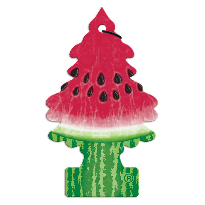 1 stk. Wunderbaum Watermelon (2)