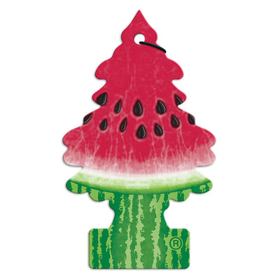 1 stk. Wunderbaum Watermelon (2)