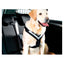 Hundesele MIMsafe Allsafe - Large (3)