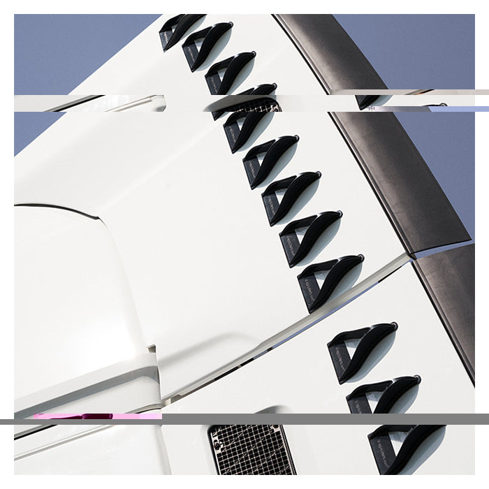 V Spoilers Kit til Personbil 10 stk. Sort/Hvid