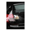Autoglym Coating og Shampoo sæt (6)