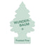 1 stk. Wunderbaum Frosted Pine (2)