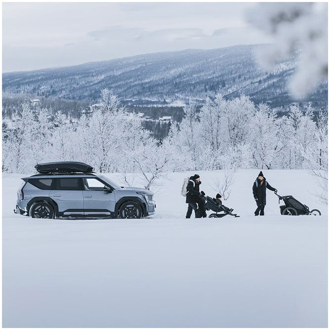 Thule Motion 3 L black glossy (13)