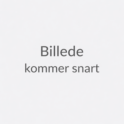 Stænklapper Clips