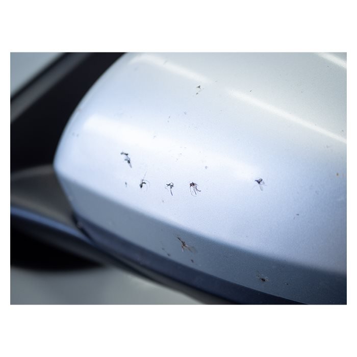 Autoglym Active Insect Remover 500 ml. - GreenGoing