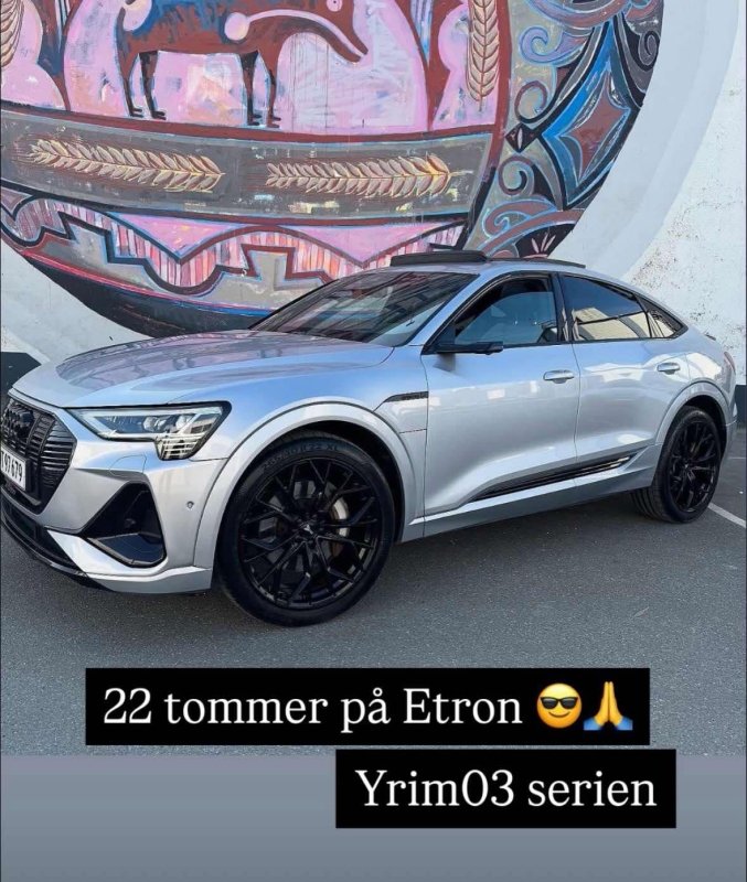 YrimWheels Model 03 – Dansk Brand - GreenGoing